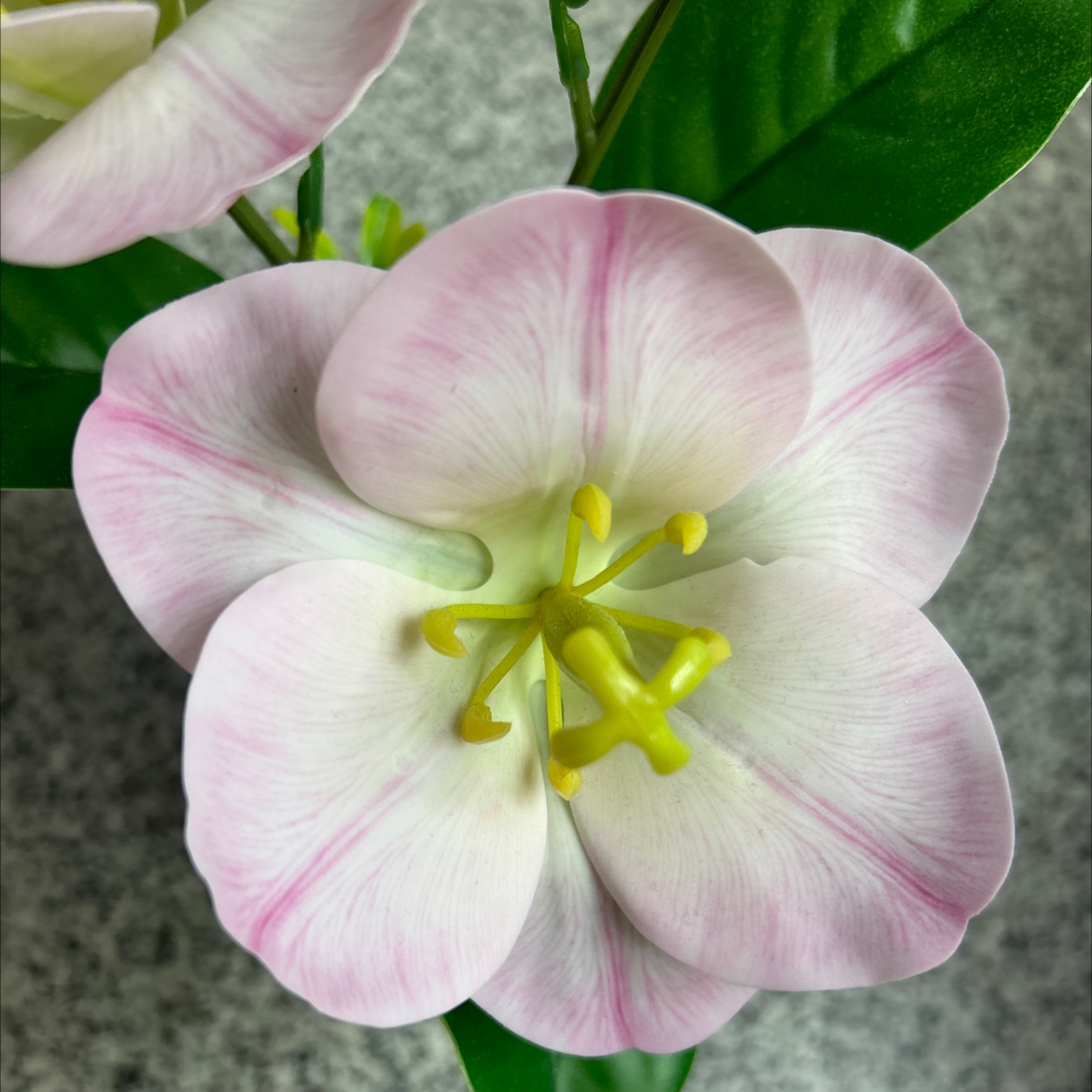 仿真胶片郁金香盆栽仿真花盆栽客厅家用办公室小盆景仿真花细节图