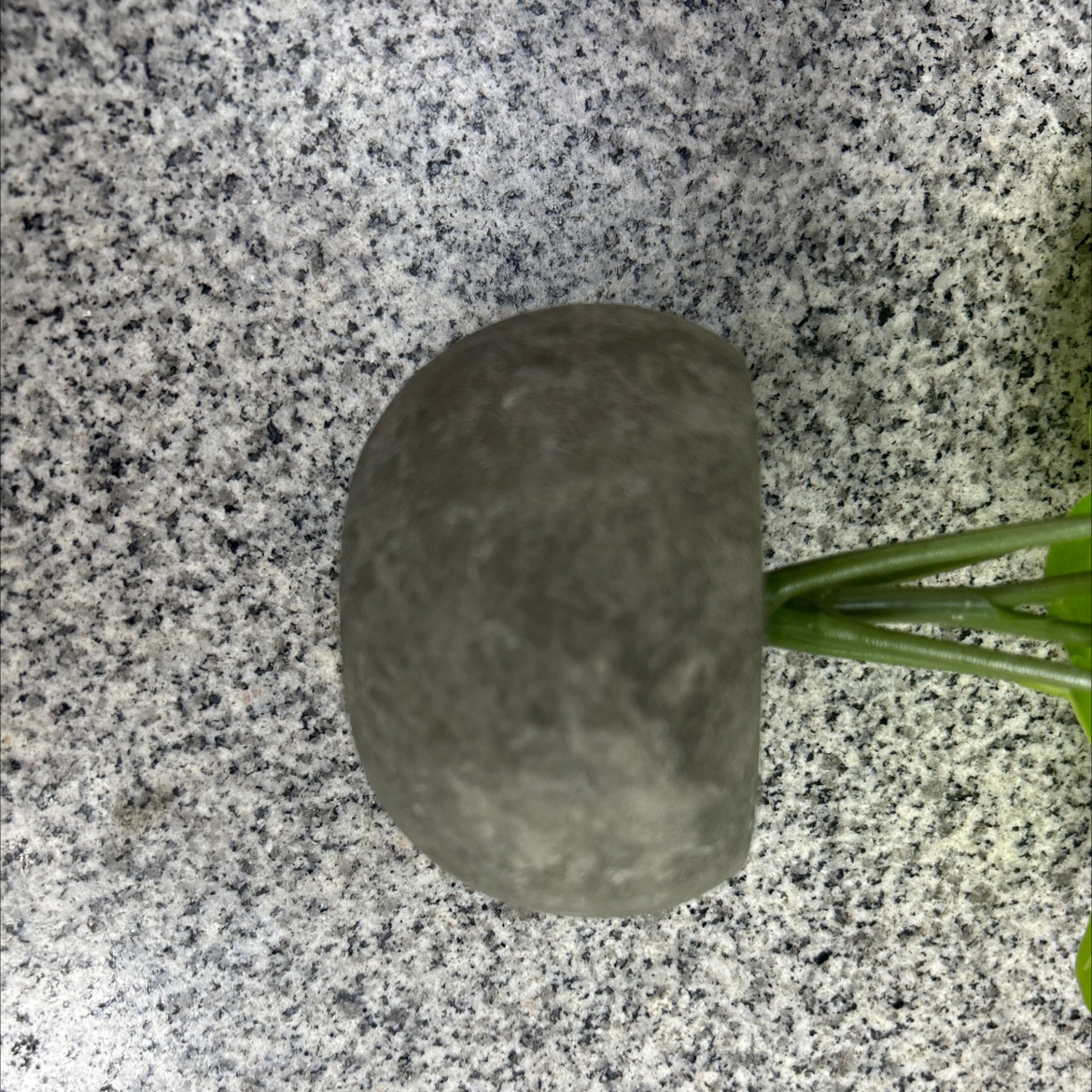 Simulated turtle-back leaf green plant potted plant, simulated green plant leaf film, office, living room, home small bonsai Specification image