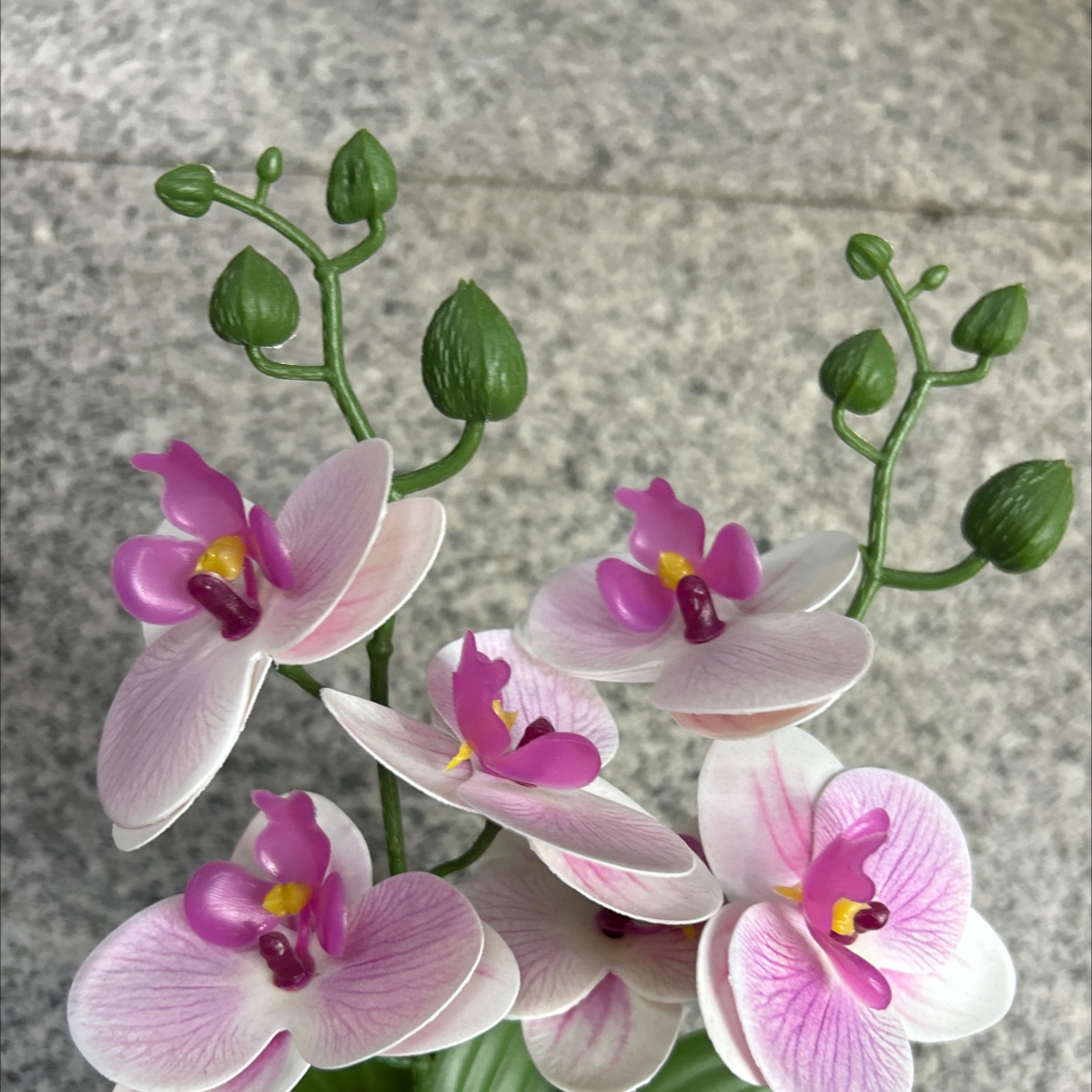 仿真胶片蝴蝶兰盆栽办公室客厅家用仿真花小盆景蝴蝶兰仿真花产品图