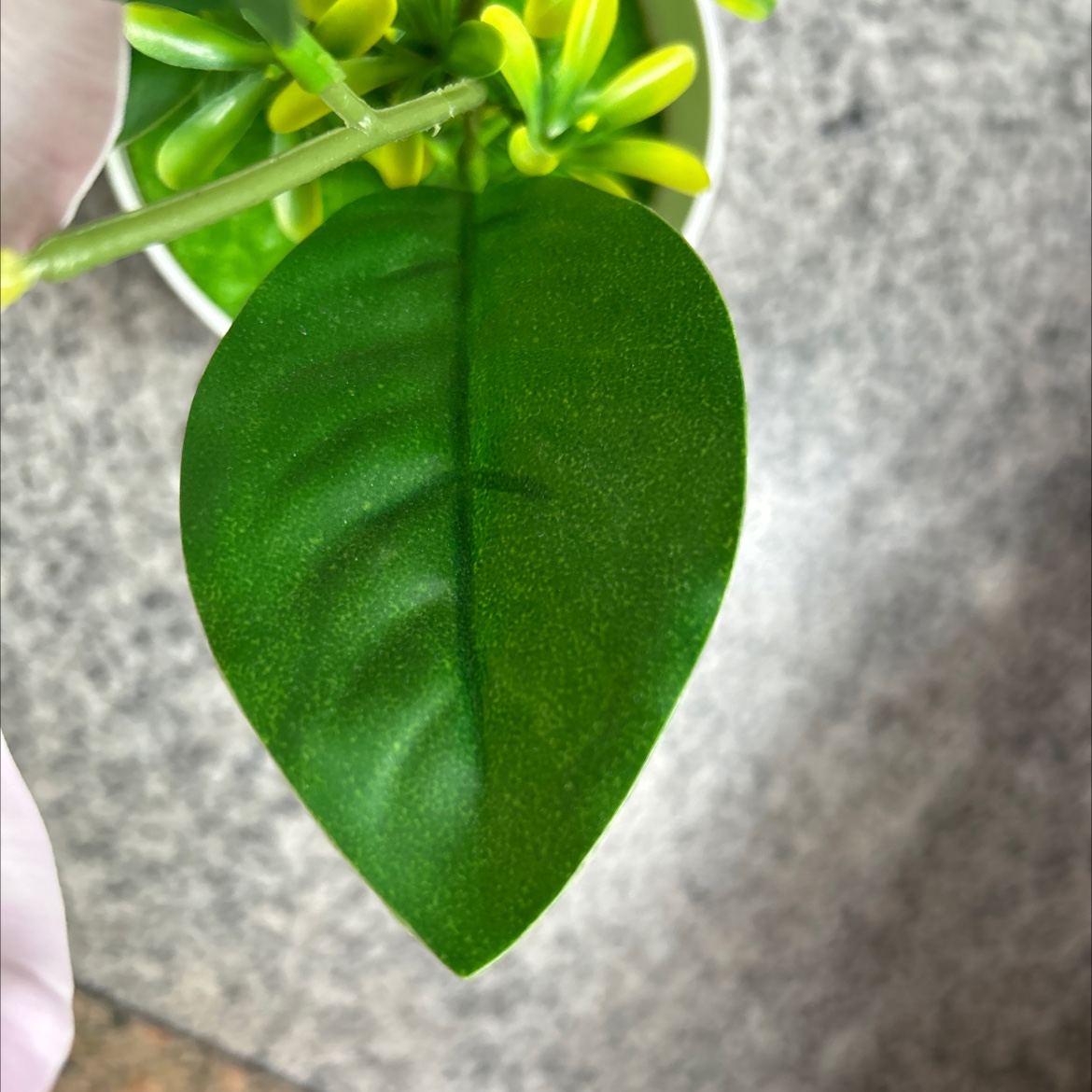 仿真花瓣实物图