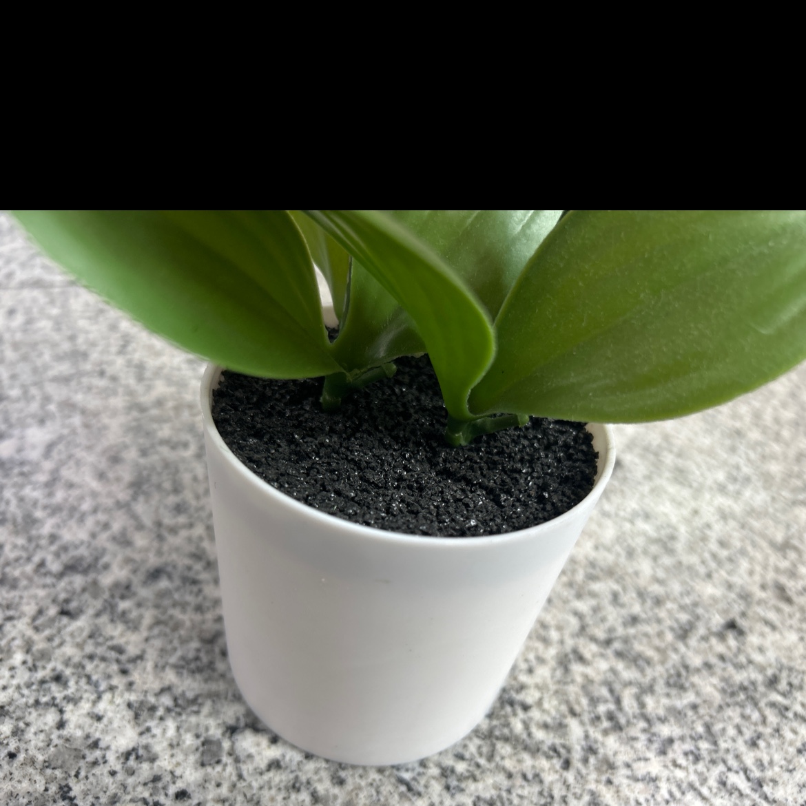 仿真花瓣实物图