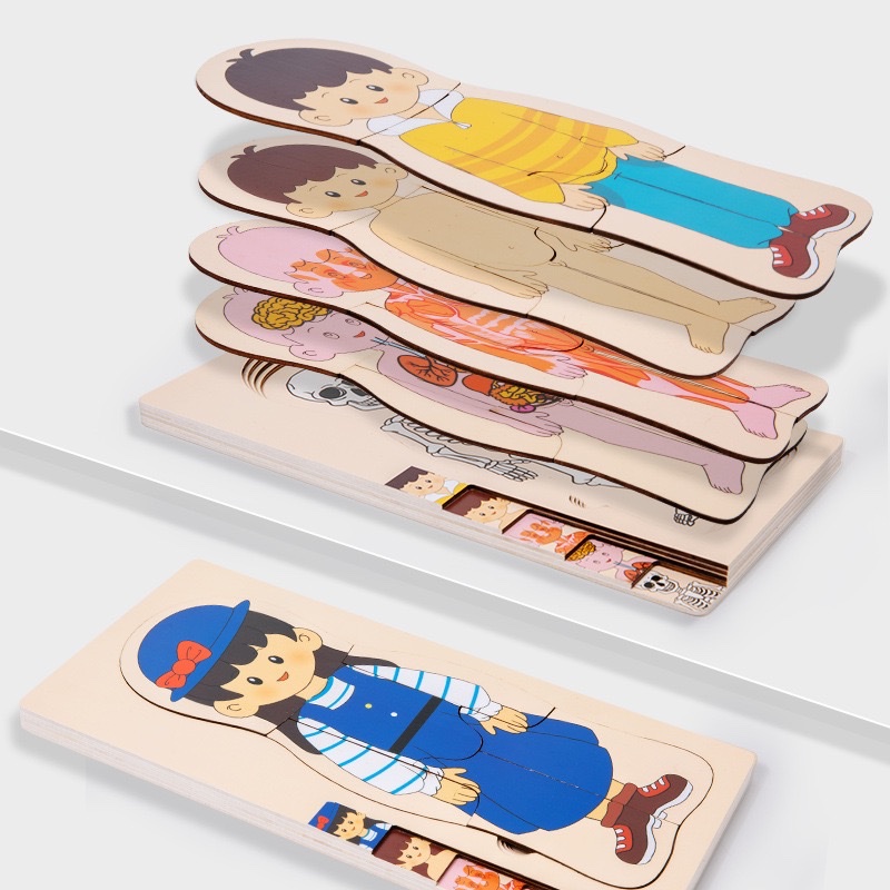 儿童早教人物身体结构认知拼图大脑多层拼板益智开发木质玩具 拼图详情图2