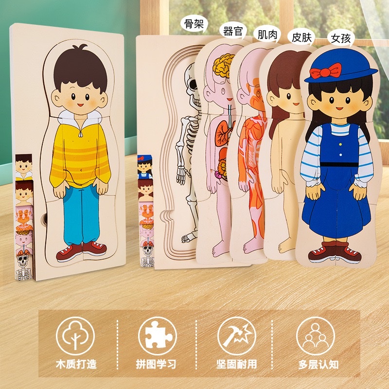 儿童早教人物身体结构认知拼图大脑多层拼板益智开发木质玩具 拼图