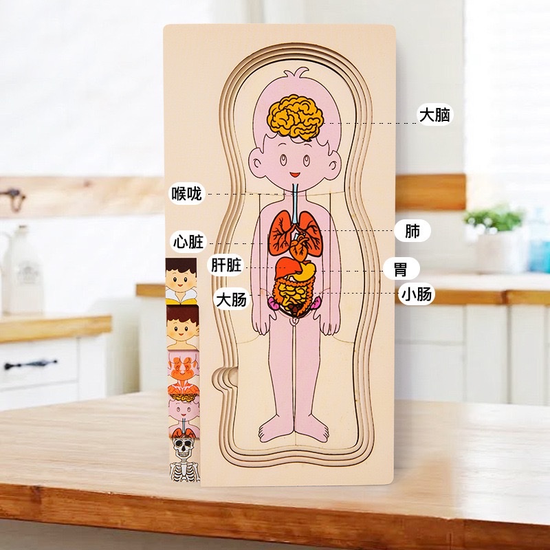 拼图、拼板实物图