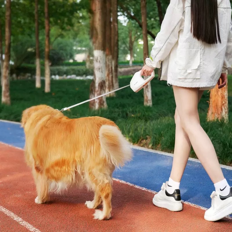 The new 5-meter pet leash is an automatic telescopic leash suitable for small and medium-sized cats and dogs when taking your dog for a walk details Picture