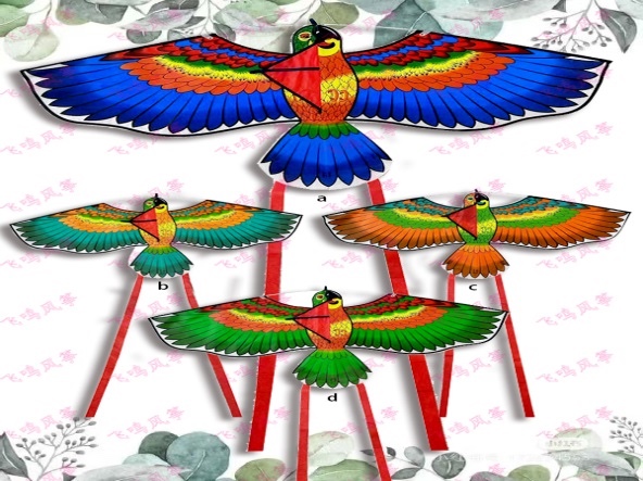 2025新款鹦鹉风筝拉风长尾漂亮易飞