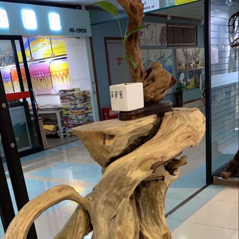 树根花架根雕白底实物图