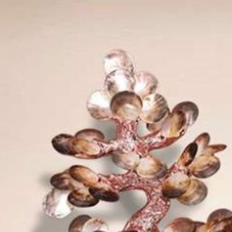 发财树装饰摆件贝壳摆件工艺品产品图