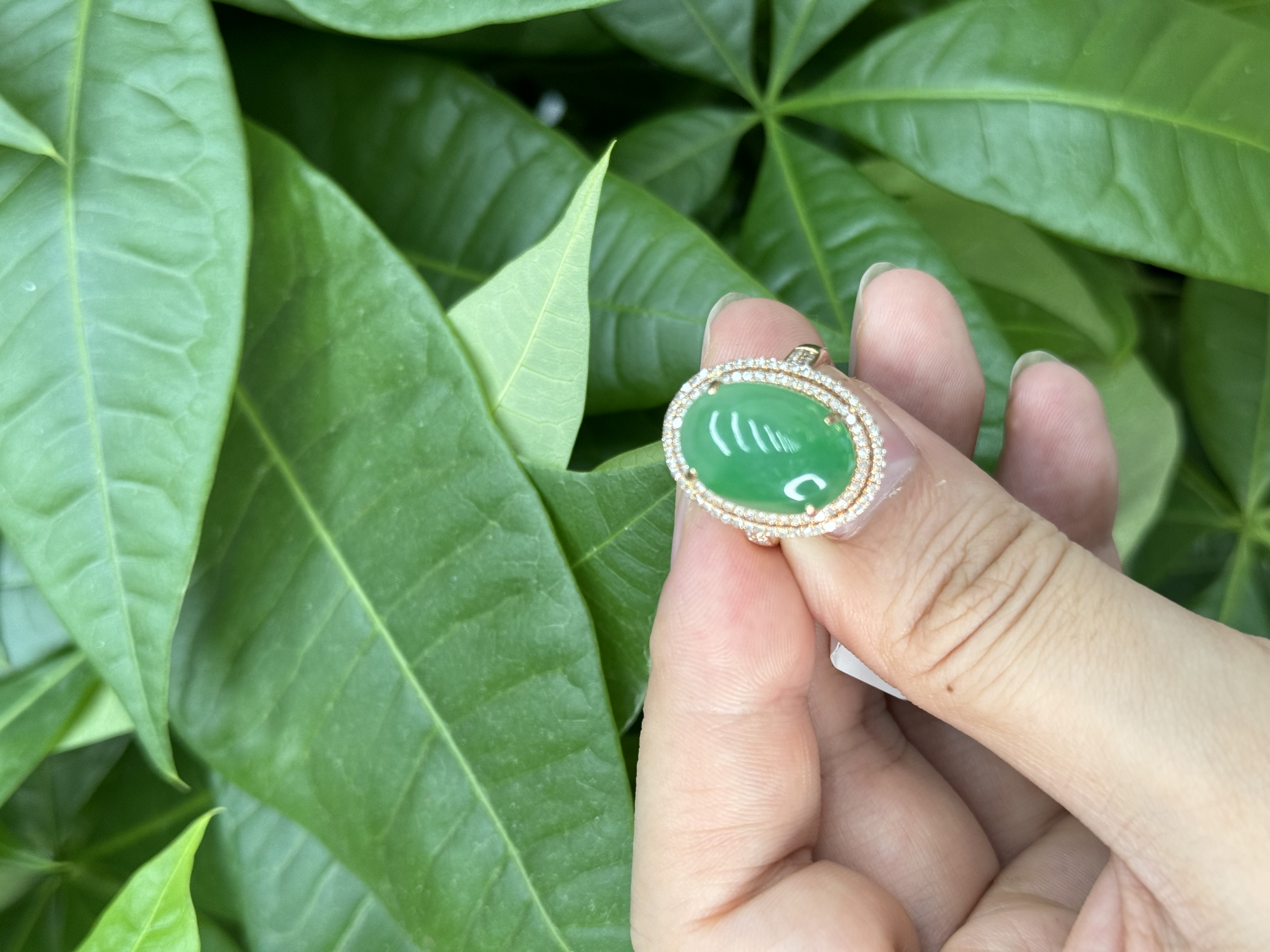 18k翡翠绿色戒指1