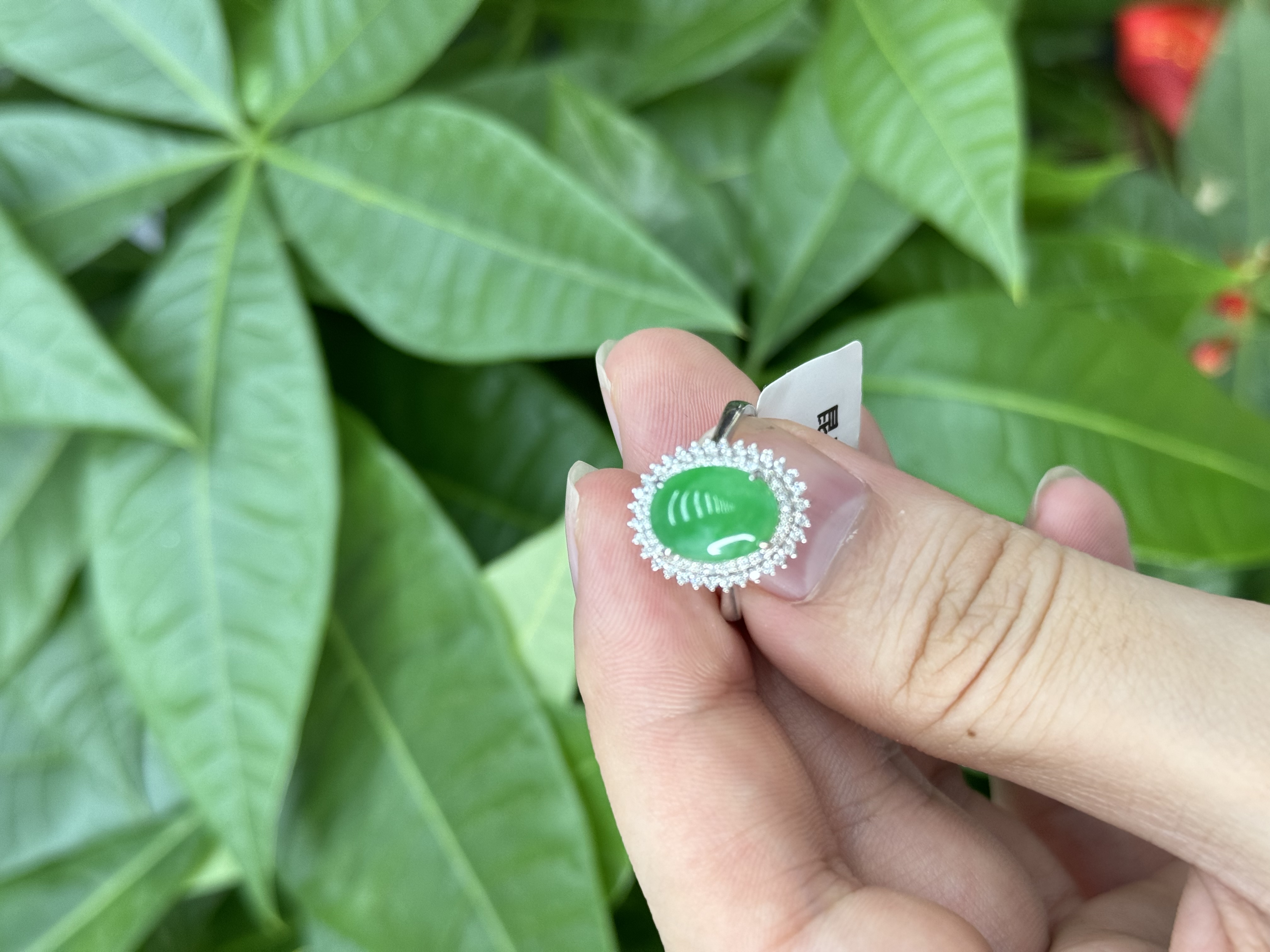 18k翡翠戒指2