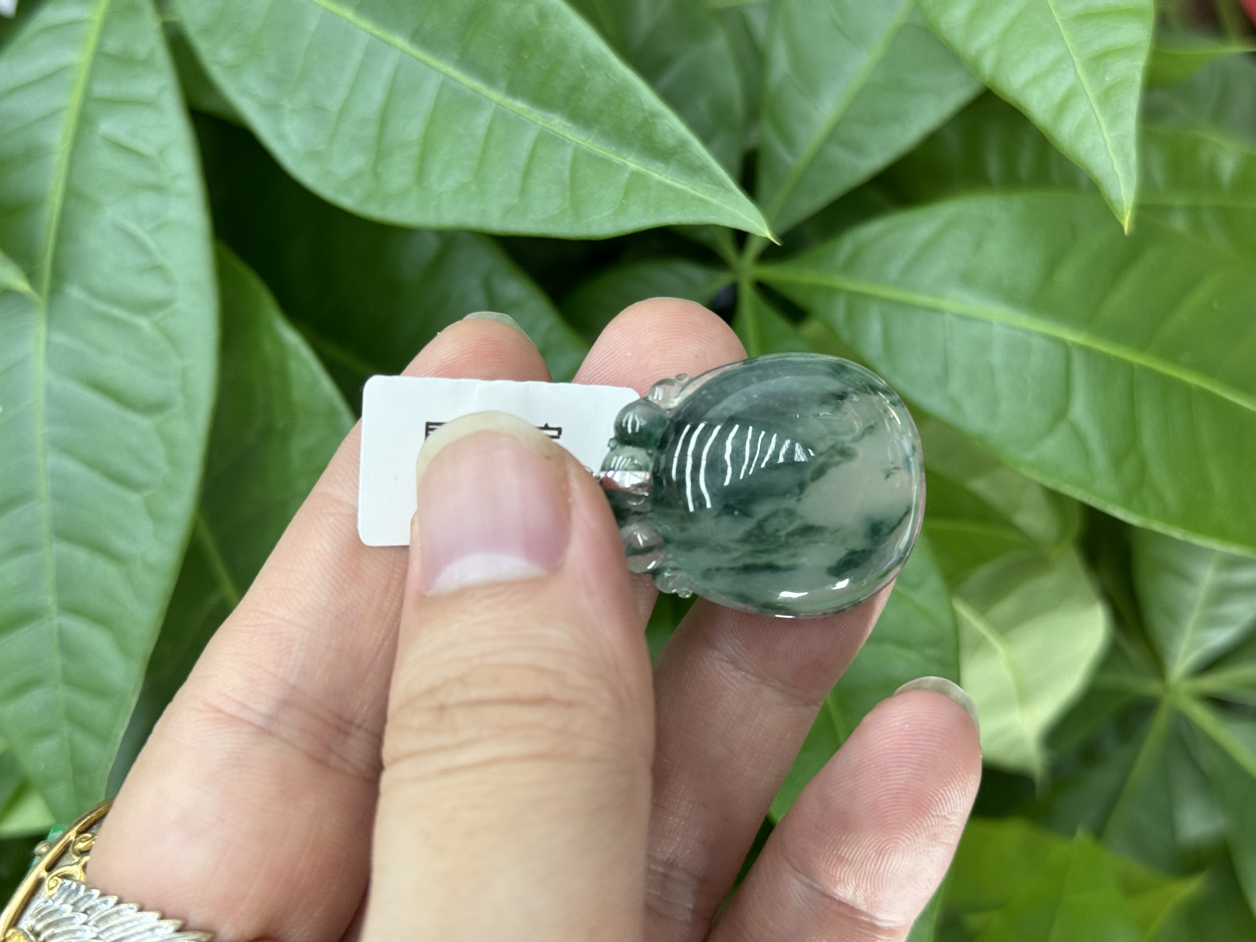 18k翡翠冰飘福瓜