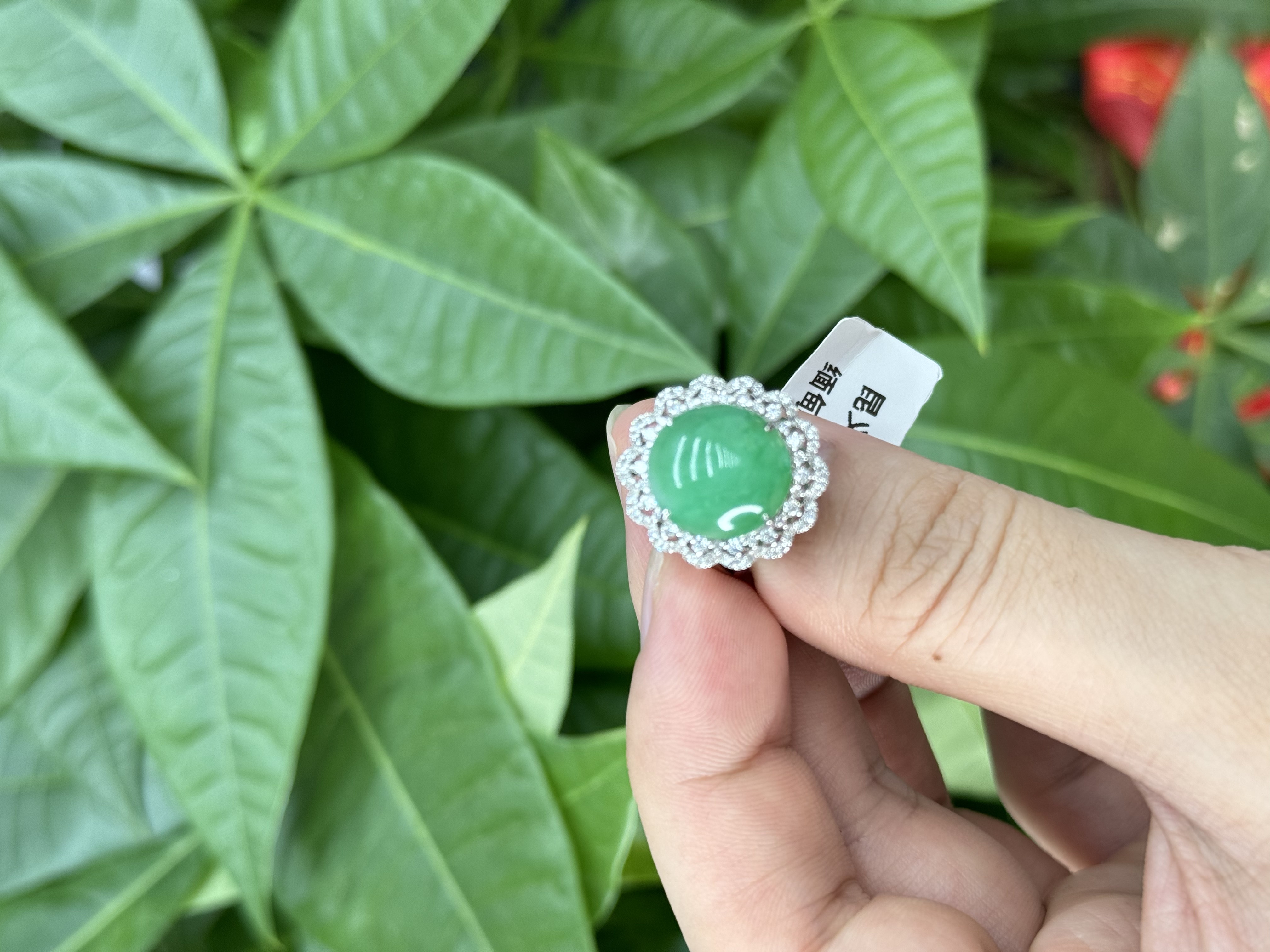 18k翡翠戒指3