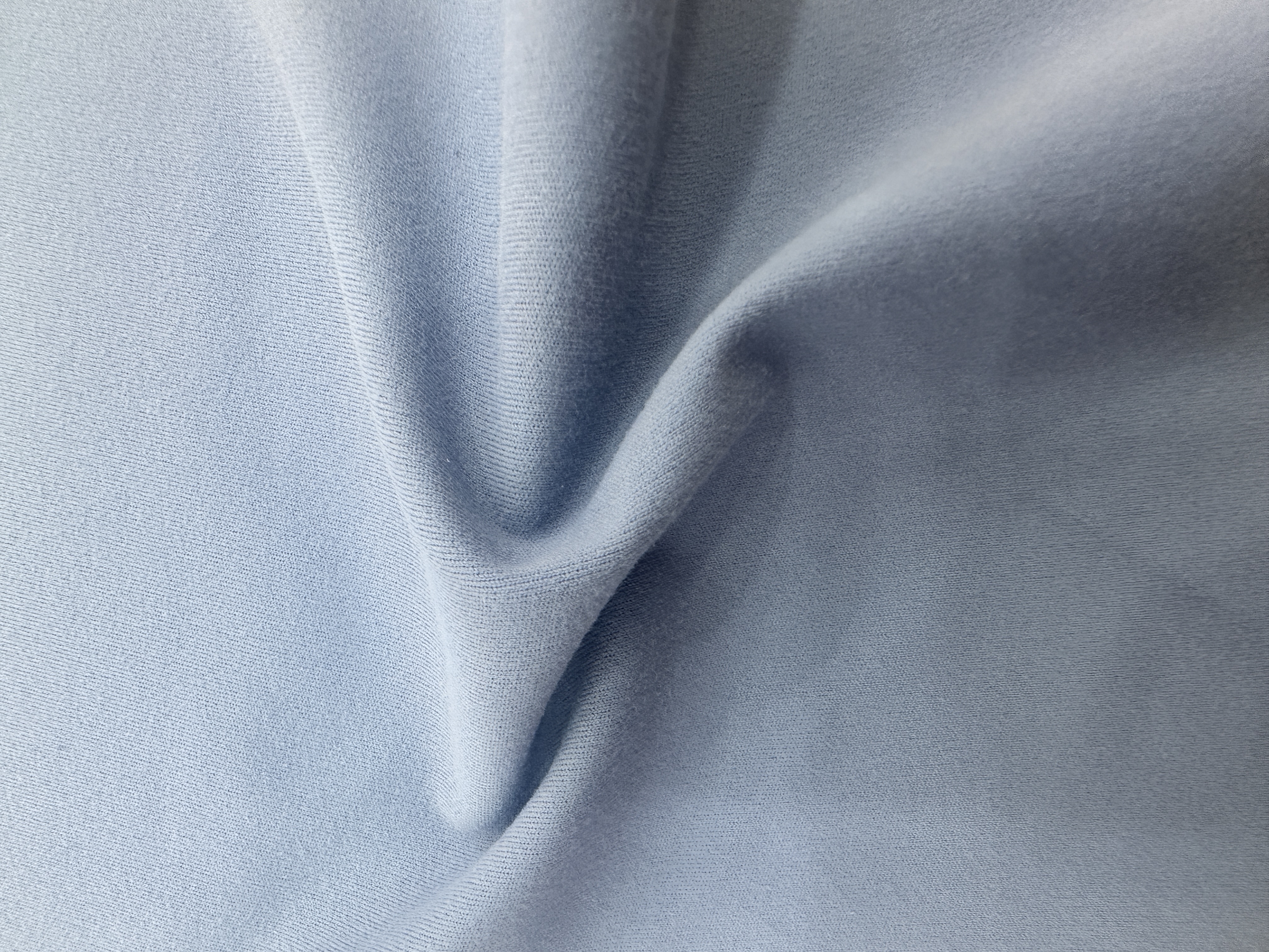Shark skin with a bare texture and brushed texture details Picture
