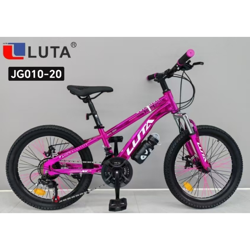 LUTA路踏AD成人山地自行车JG010-20