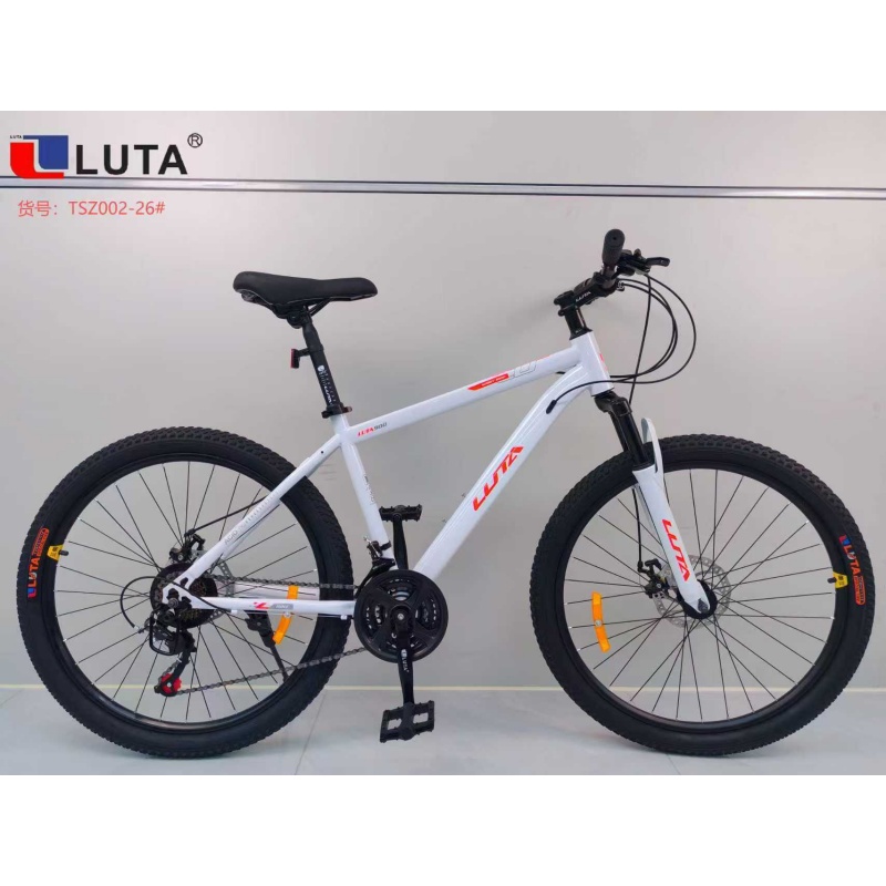LUTA路踏AD成人山地自行车TSZ002