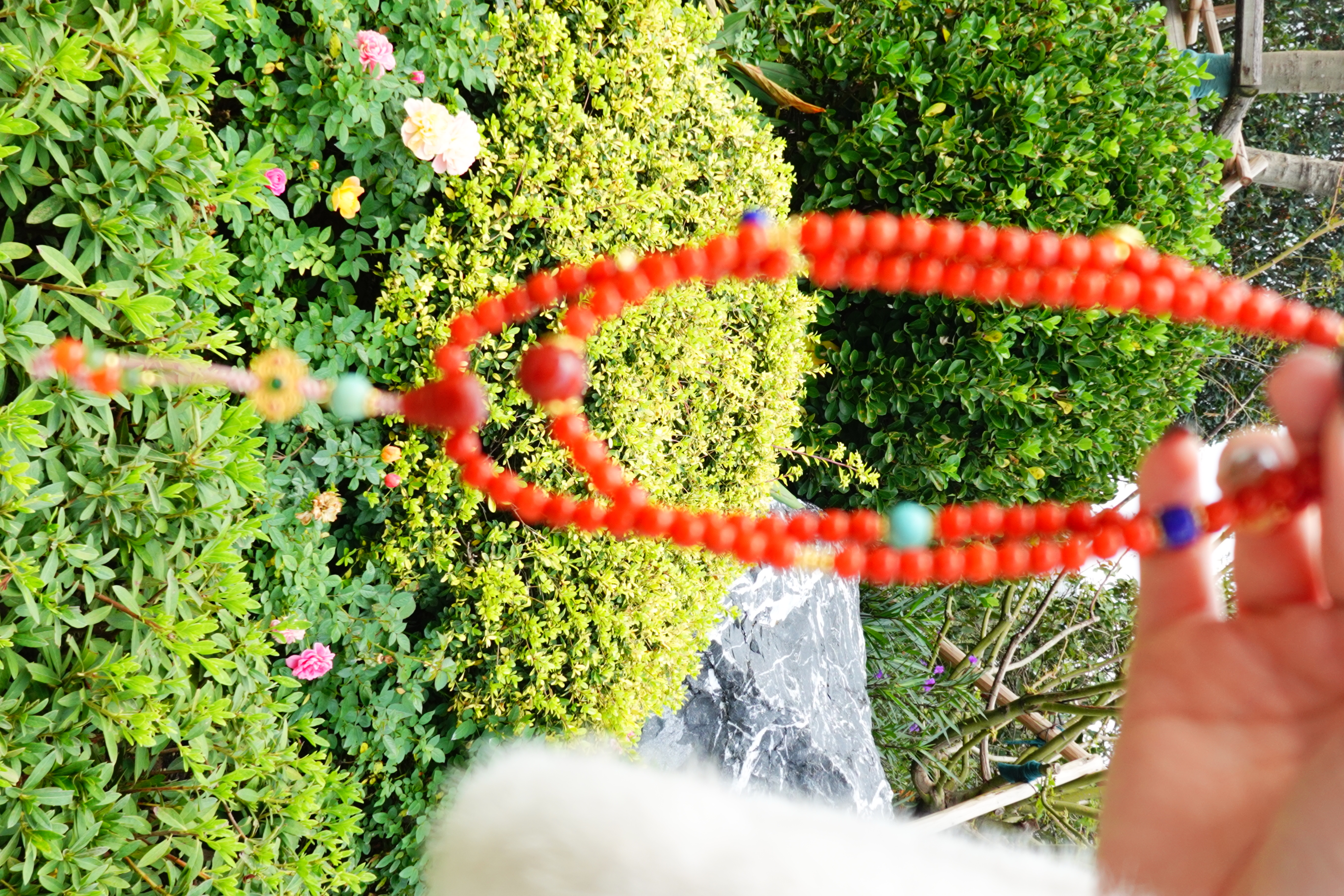 珠宝首饰实物图