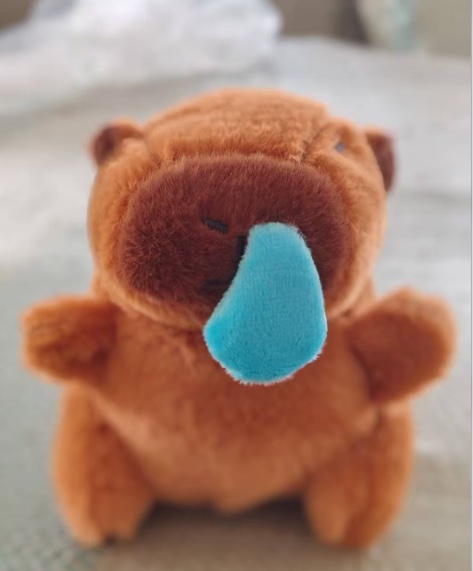 可爱毛绒卡皮巴拉公仔钥匙扣批发学生书包小挂件摆件玩偶娃娃抓机 详情图2