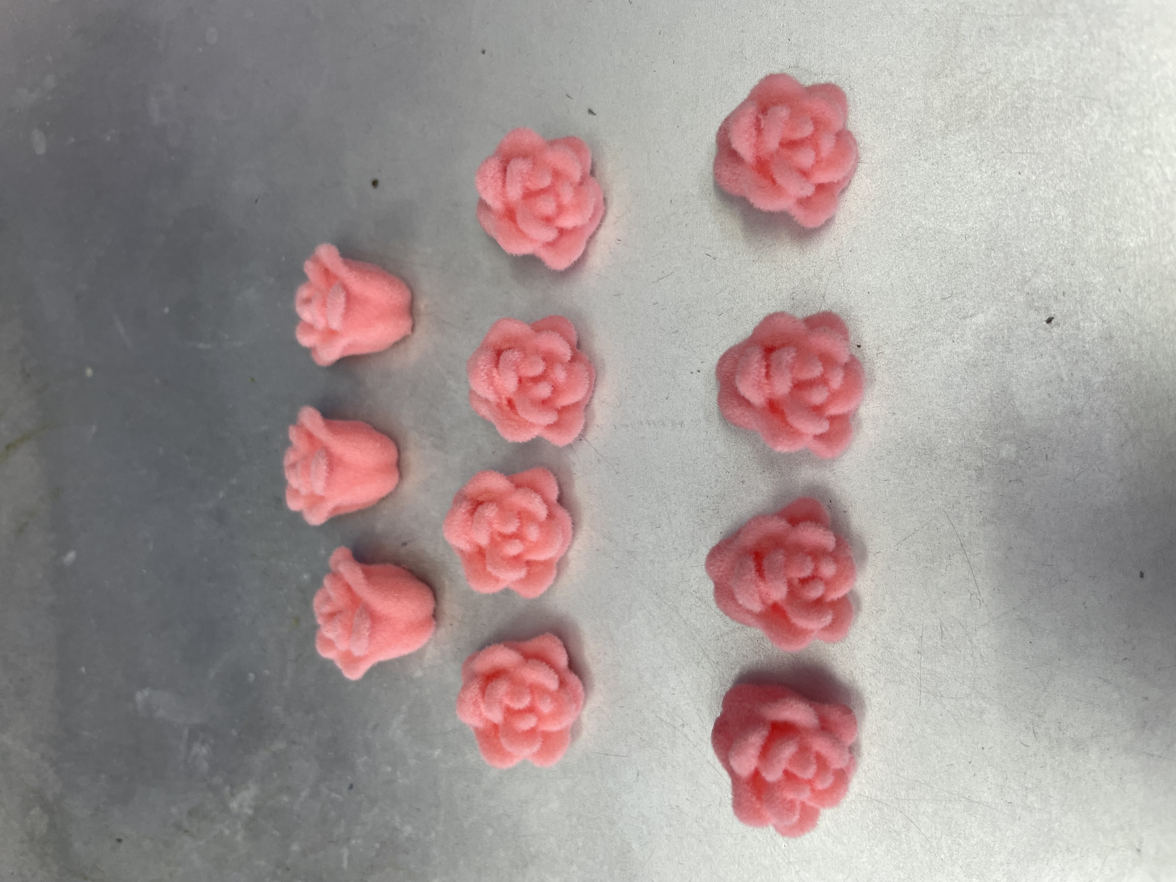 Camellia velvet pink