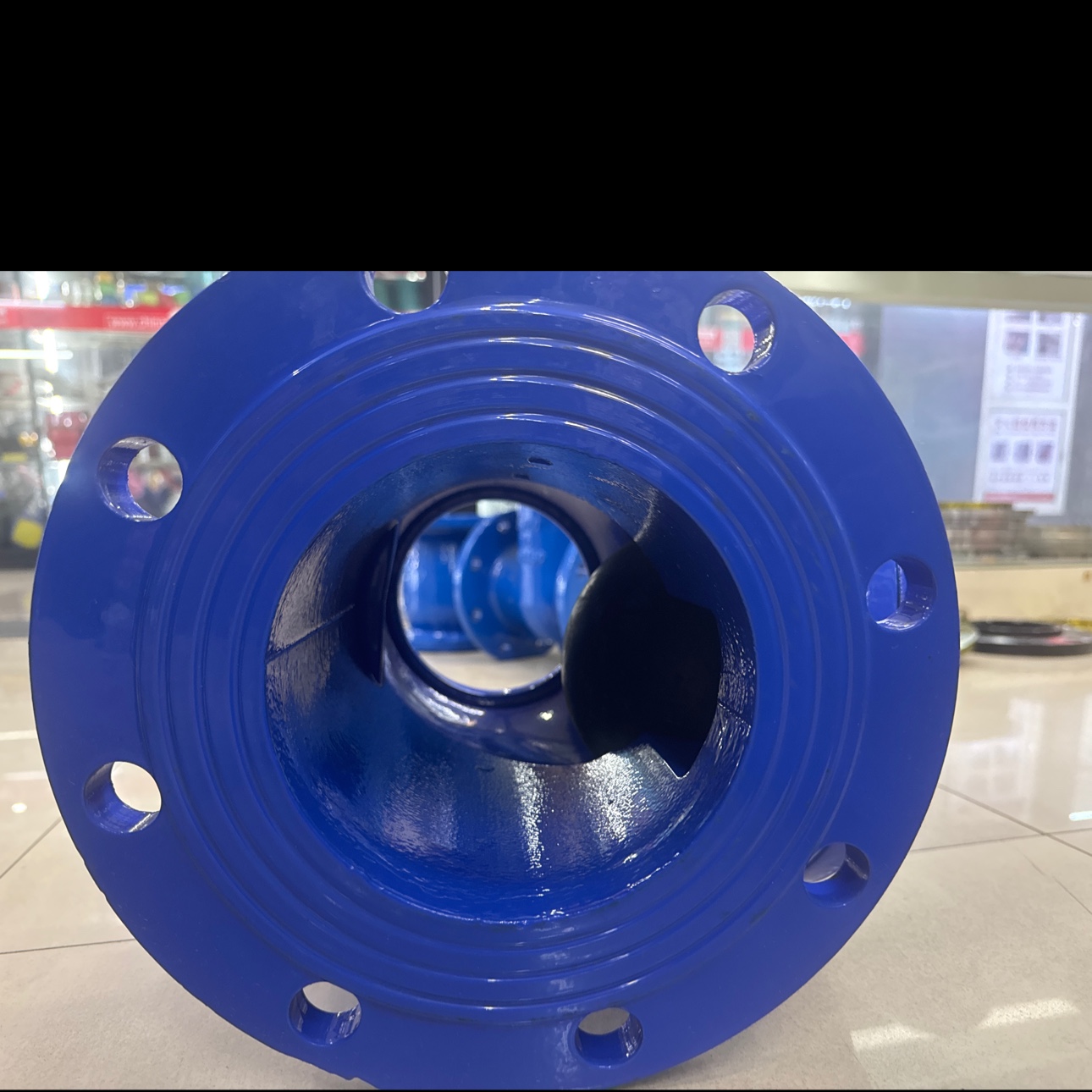 球型止回阀DN150产品图