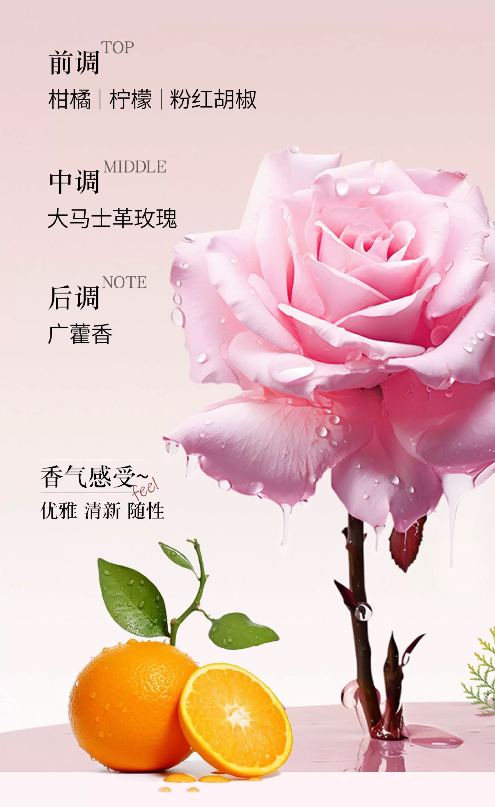 coco馥郁之水巴黎35ml香水细节图