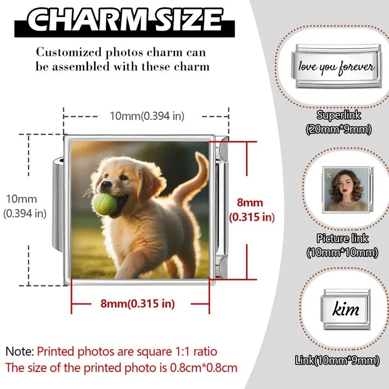 Module Charm Bracelet, stainless steel DIY Photo, Custom custom, handcrafted Diy personalized module accessory, accessory, fashionable jewelry, private custom bracelet, stainless steel, non-fading, Amazon Hot Seller, cross-border stock detail image 3