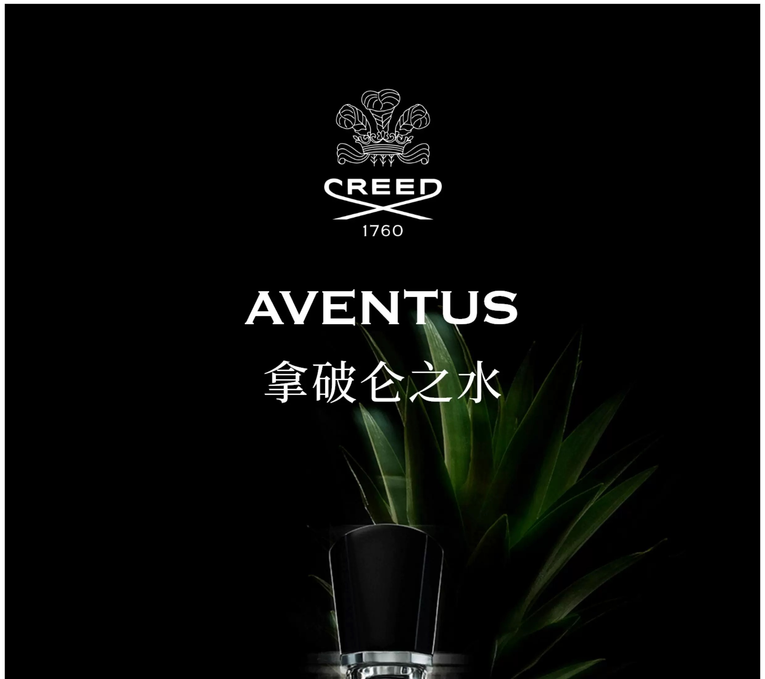 Creed拿破仑之水