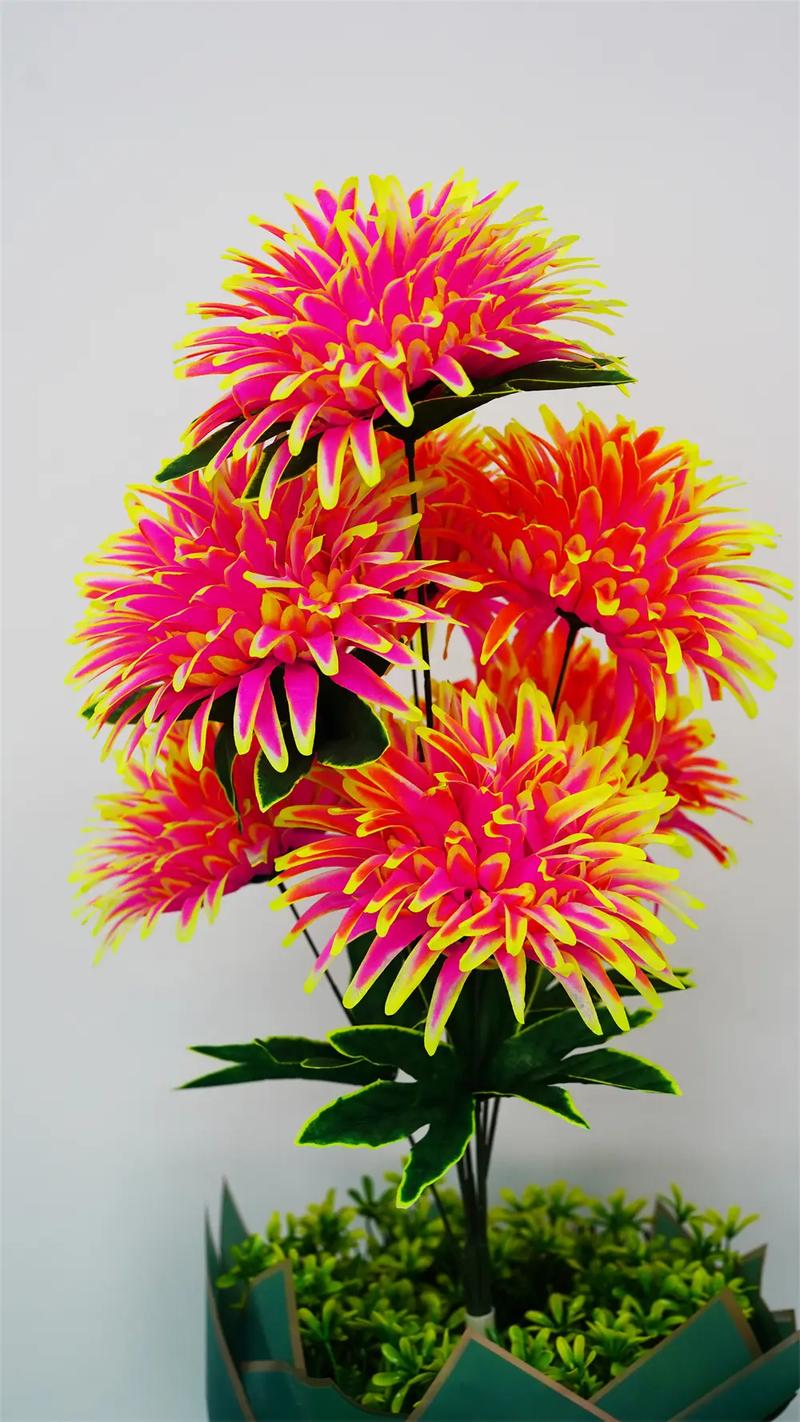 鲜切花干花年宵花多款组合装美丽插花装饰花卉礼品赠品干花年宵花