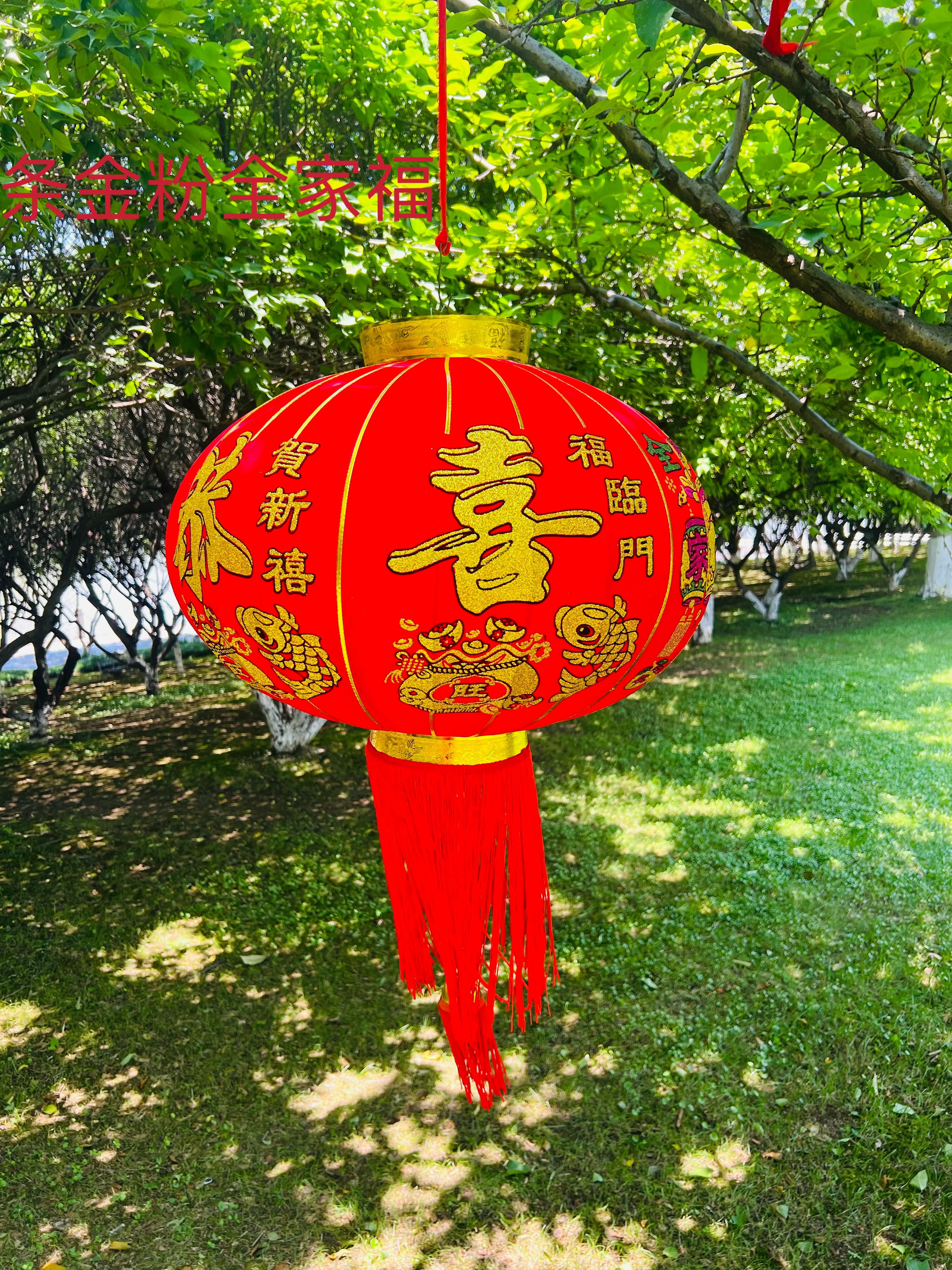 春节临近，这是一款居家装饰的理想产品，高尚大气，适合农村自建房、古建筑等场所装饰。灯笼细节图