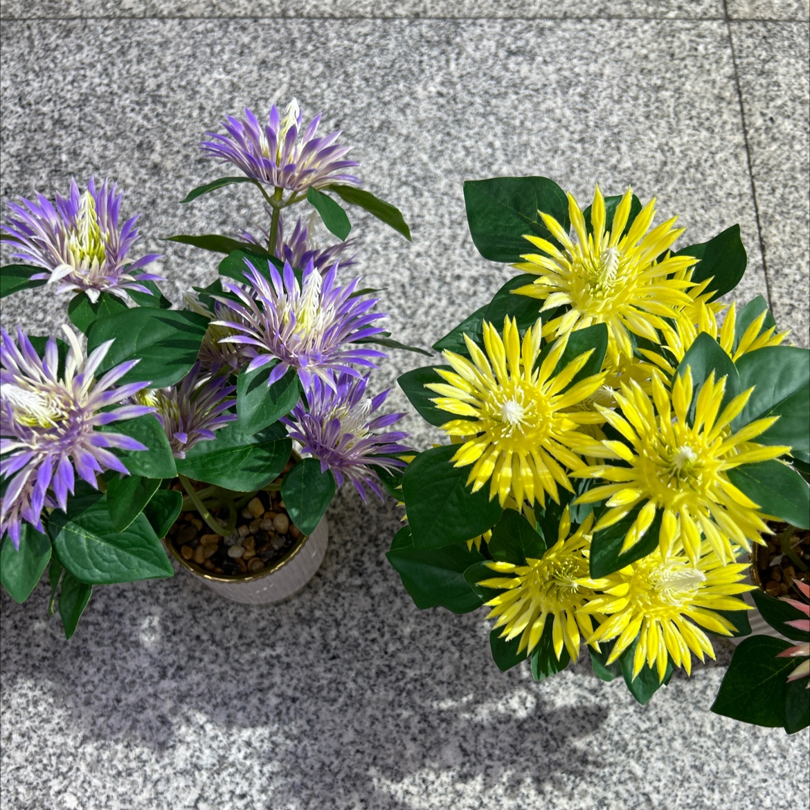 Simulated turtle-back bamboo small potted plants, potted plant ornaments, simulated kumquats, green plants, desktop decorations, home decoration detail image 3