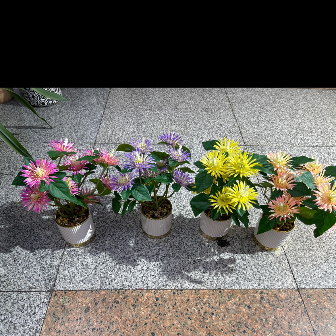 仿真龟背竹小盆栽盆栽摆件装饰品仿真金桔绿植桌面摆设家居装饰