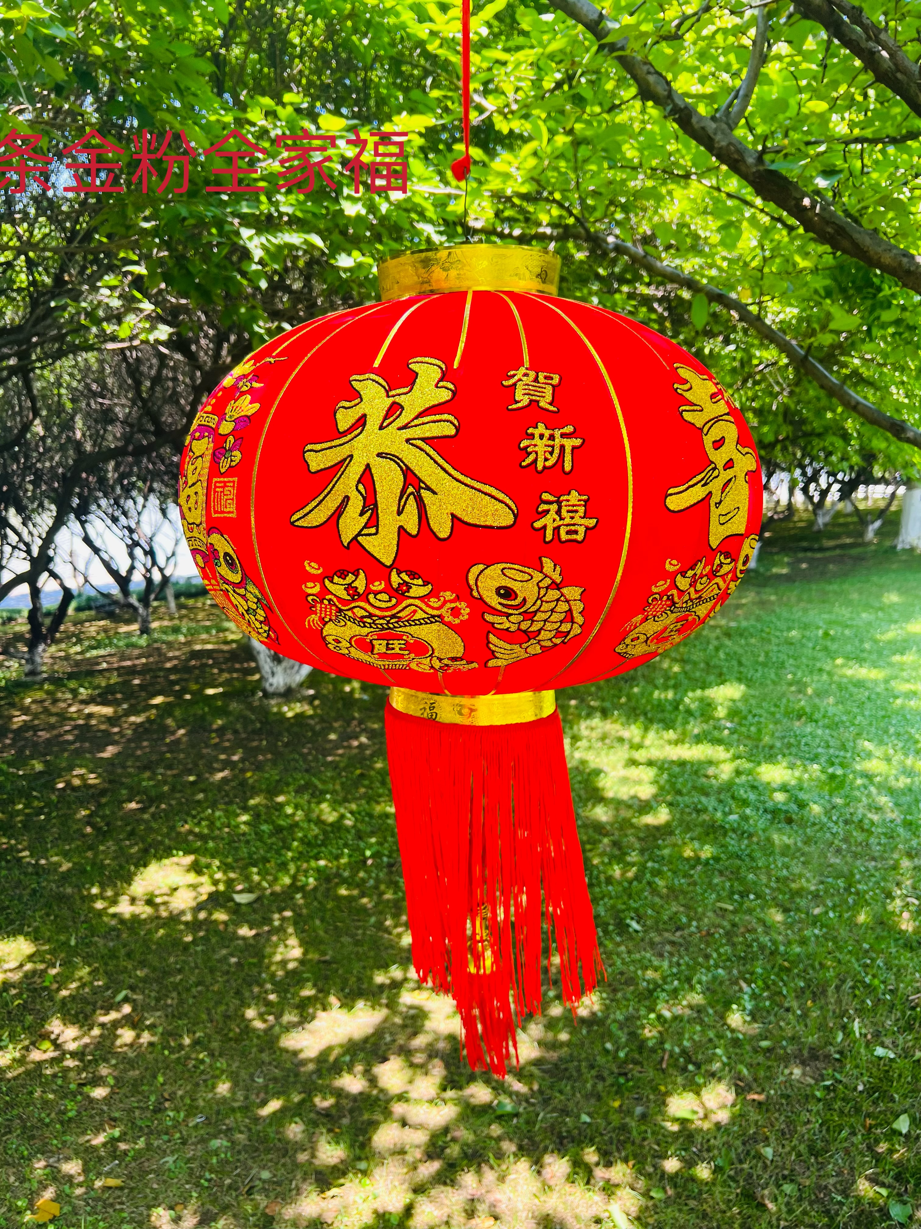 春节临近，这是一款居家装饰的理想产品，高尚大气，适合农村自建房、古建筑等场所装饰。灯笼产品图