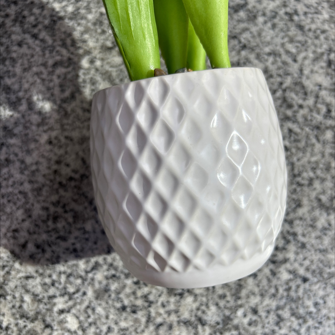 Creative decorative small potted plant of artificial turtle-back bamboo, artificial kumquat green plant, desktop decoration, no maintenance required detail image 4