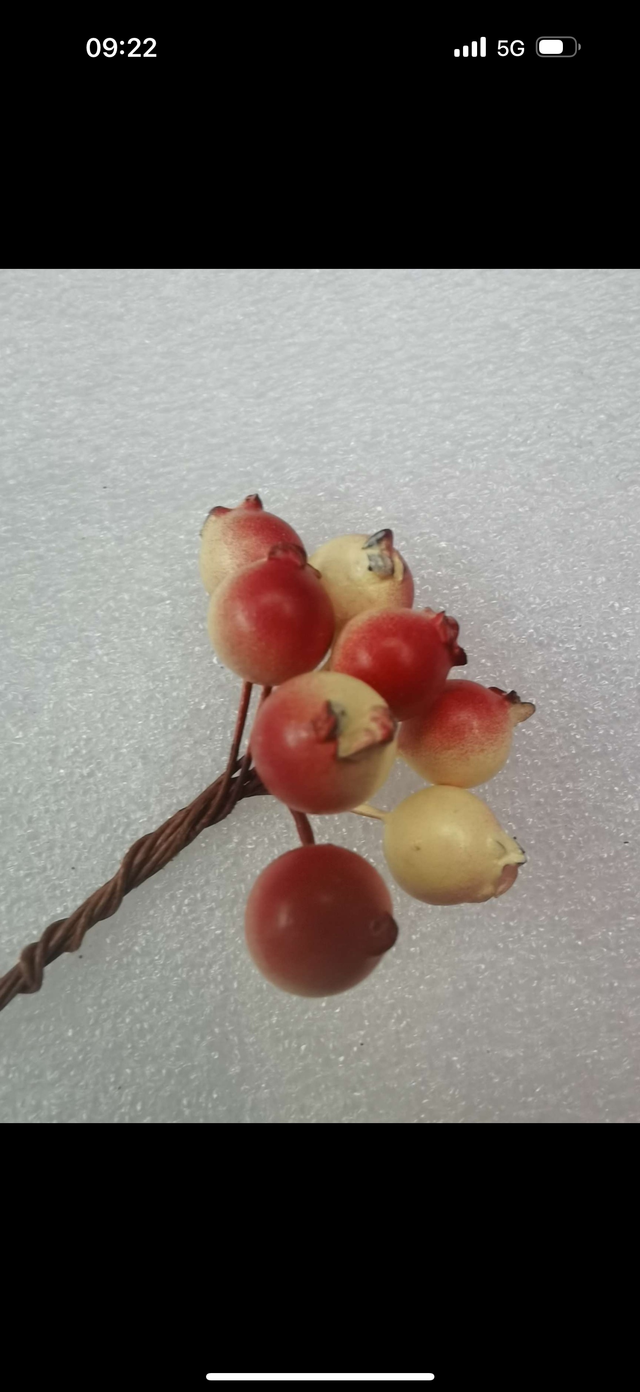 Gold and silver paper flower core shell painting twisted stick material package wild goose feather creative Handmade DIY Set 1.0 Hawthorn fruit details Picture