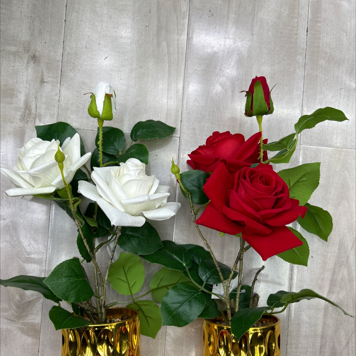 仿真龟背竹小盆栽盆栽摆件 创意装饰仿真金桔绿植摆设家居装饰品