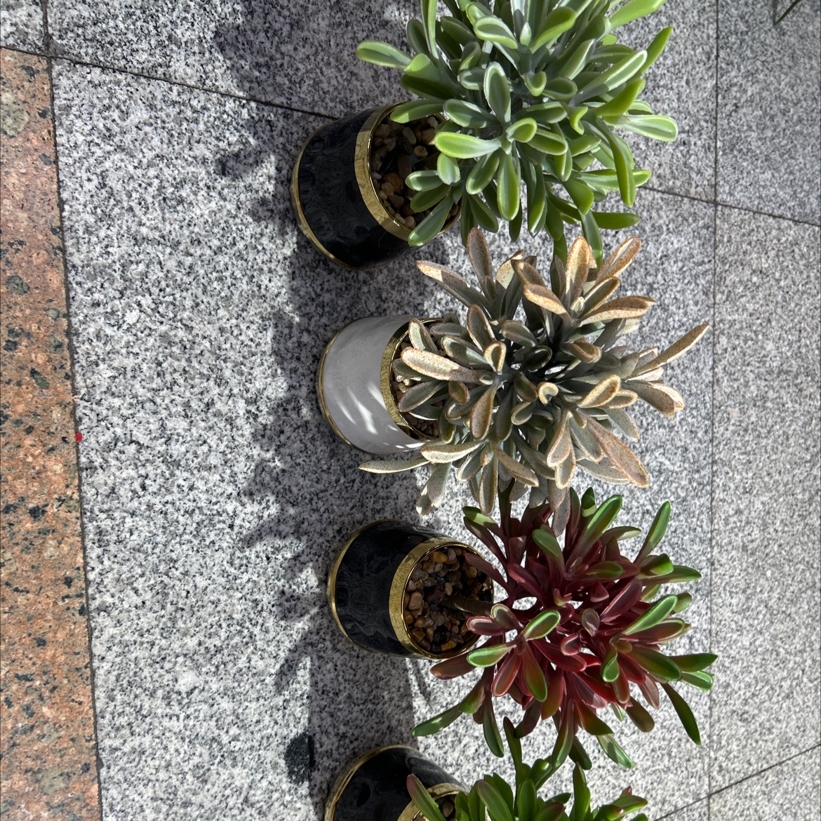 Artificial turtle-back bamboo small potted plant, creative decoration, golden orange green plant, artificial plant, home living room desktop decoration Specification image
