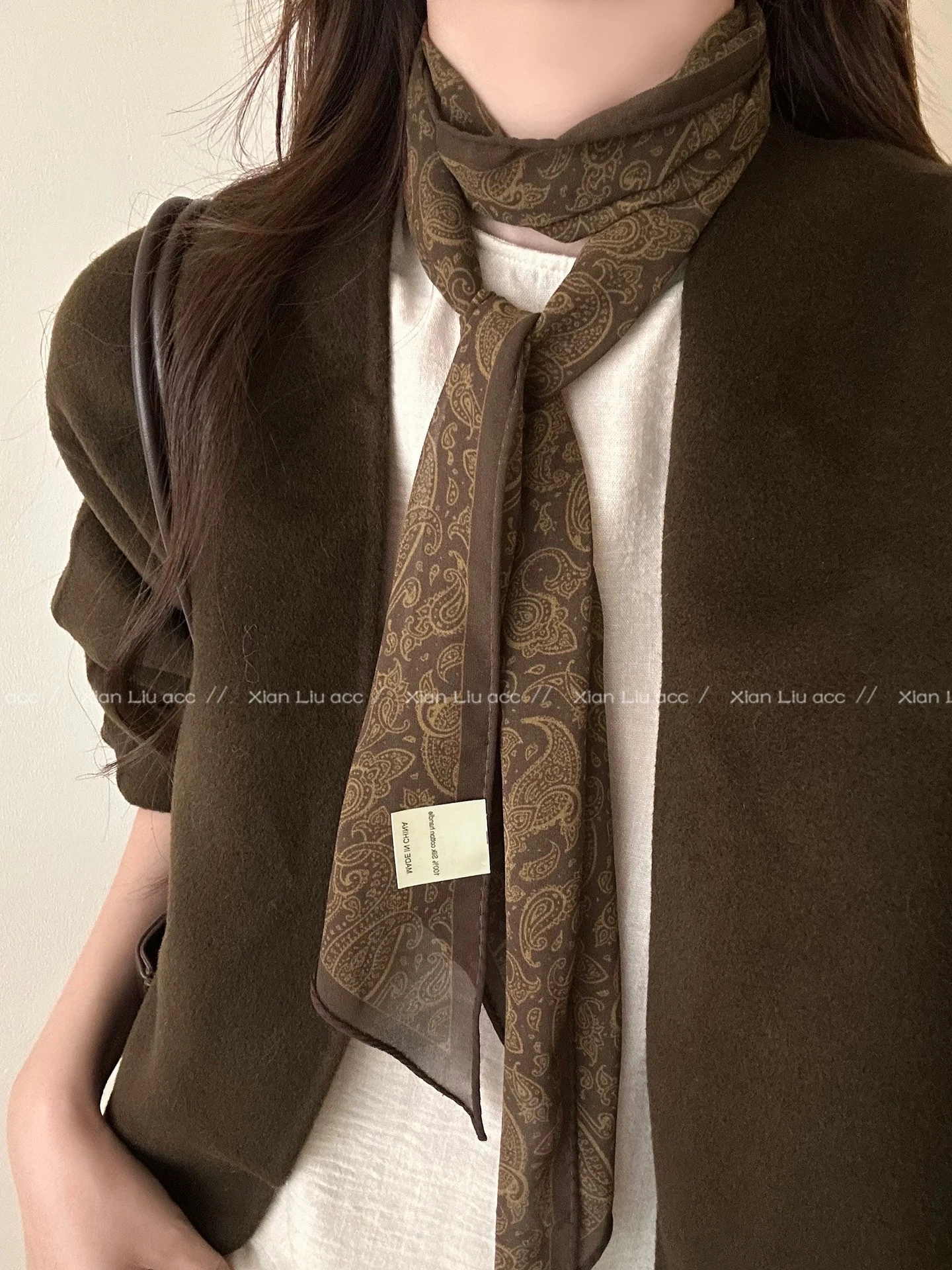 Retro autumn and winter cashew flower long silk scarf for women, 2025 new style high-end scarf, neckerchief, autumn and winter atmosphere accessory, scarf, silk scarf, white matching silk scarf necklace detail image 2