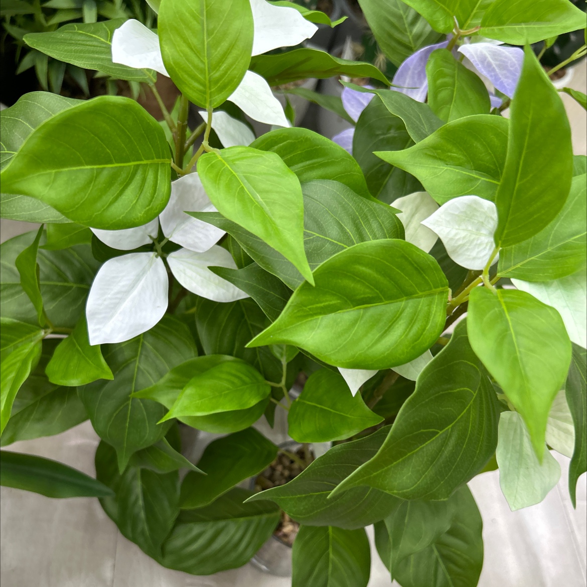 仿真盆栽实物图