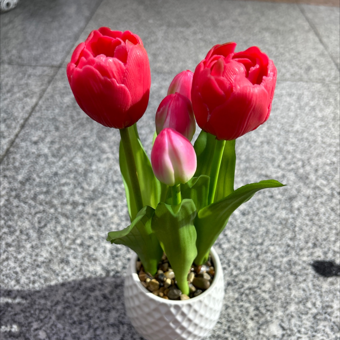 仿真龟背竹小盆栽盆栽摆件 创意装饰仿真金桔绿植桌面摆设免养护