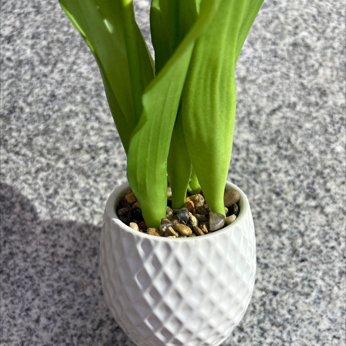 Creative decorative small potted plant of artificial turtle-back bamboo, artificial kumquat green plant, desktop decoration, no maintenance required detail image 3
