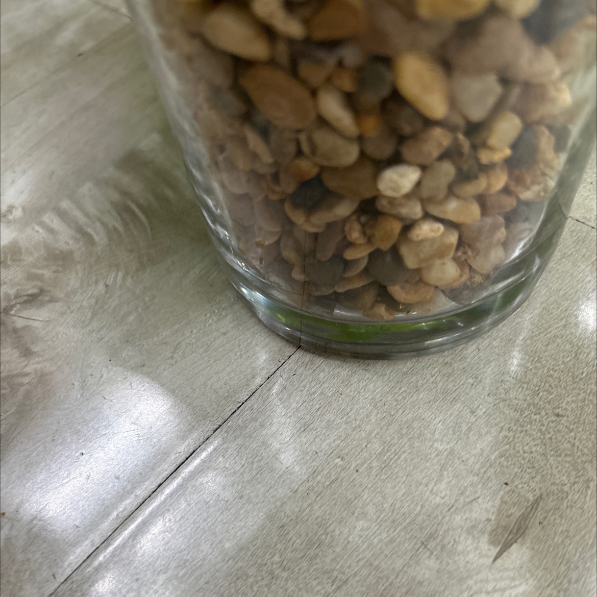 仿真龟背竹小盆栽盆栽摆件装饰品仿真金桔绿植家居客厅桌面装饰详情图5