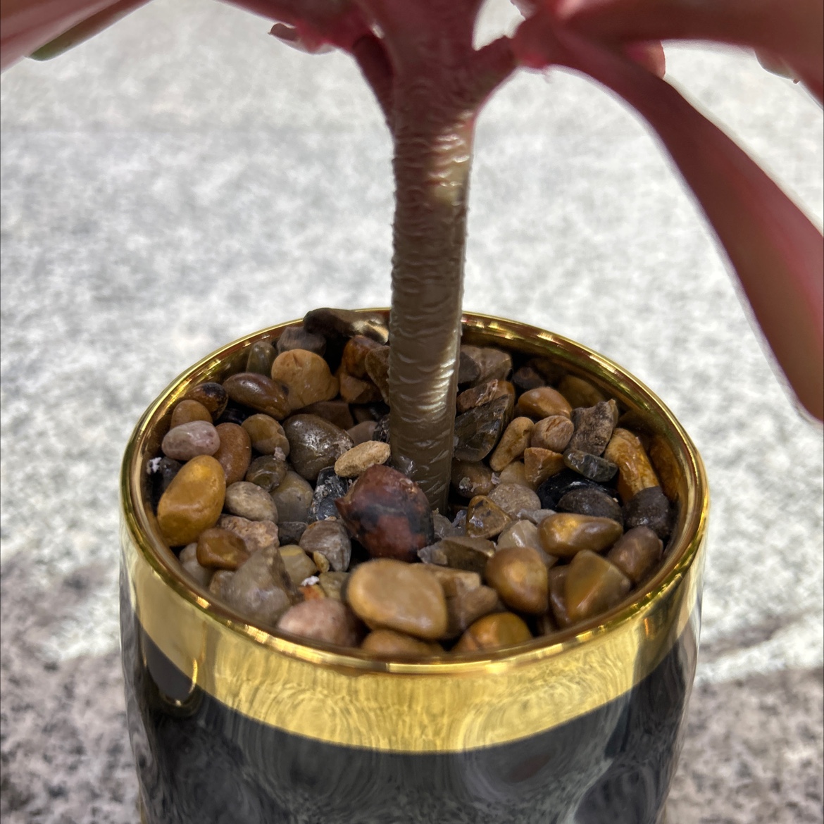 Artificial turtle-back bamboo small potted plant, creative decoration, golden orange green plant, artificial plant, home living room desktop decoration detail image 4