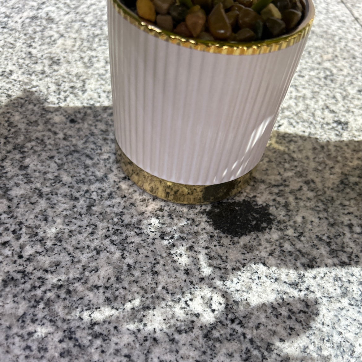 Simulated turtle-back bamboo small potted plants, potted plant ornaments, simulated kumquats, green plants, desktop decorations, home decoration Specification image