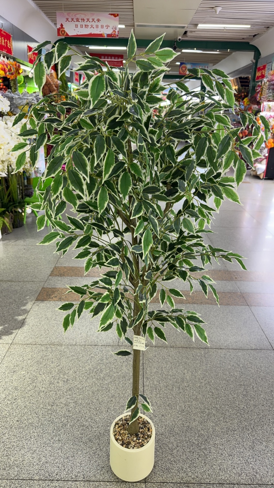 仿真树小盆栽仿竹子仿花植物室内装饰仿真绿植摆件多肉假景观 仿真榕树，迷你榕仿真植物