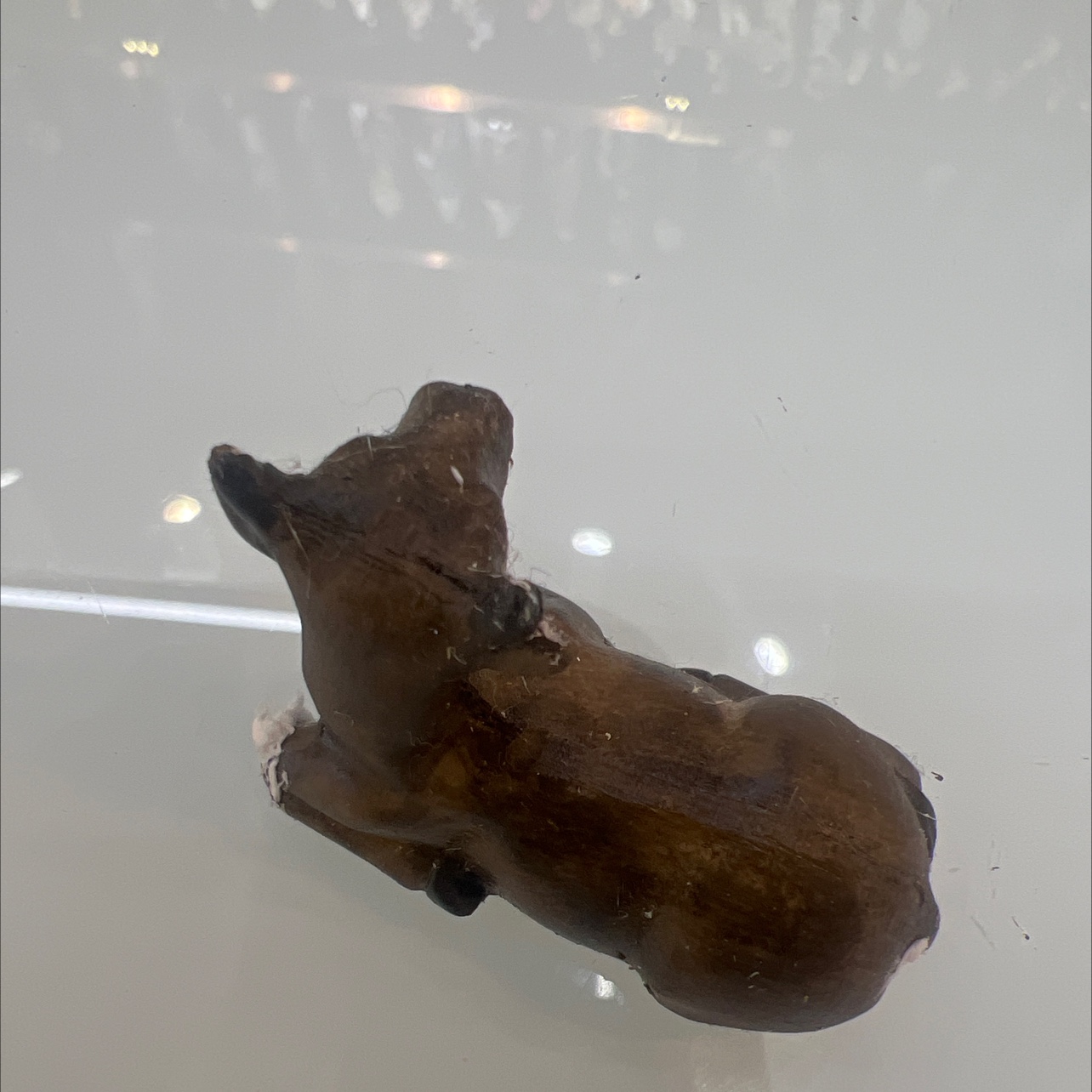 动物树脂摆件树脂配件，家居装饰，汽车摆件细节图