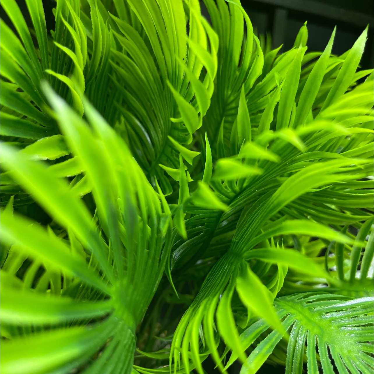 仿真树仿真植物仿真植物仿真植物仿真植物仿真植物产品图