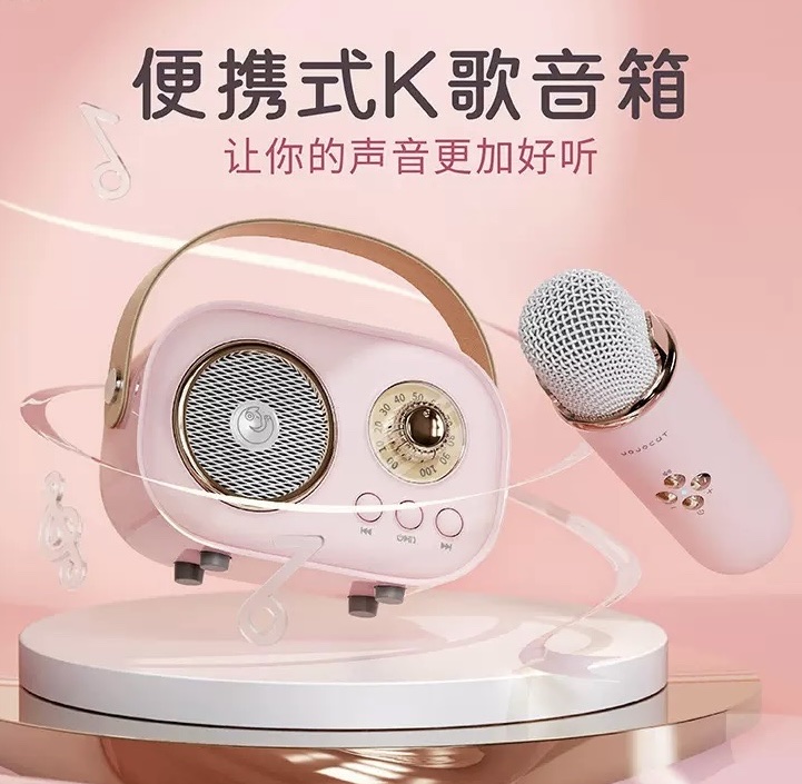 新品C20迷你蓝牙K歌音箱家庭户外娱乐无线麦克风音响跨境零售批发