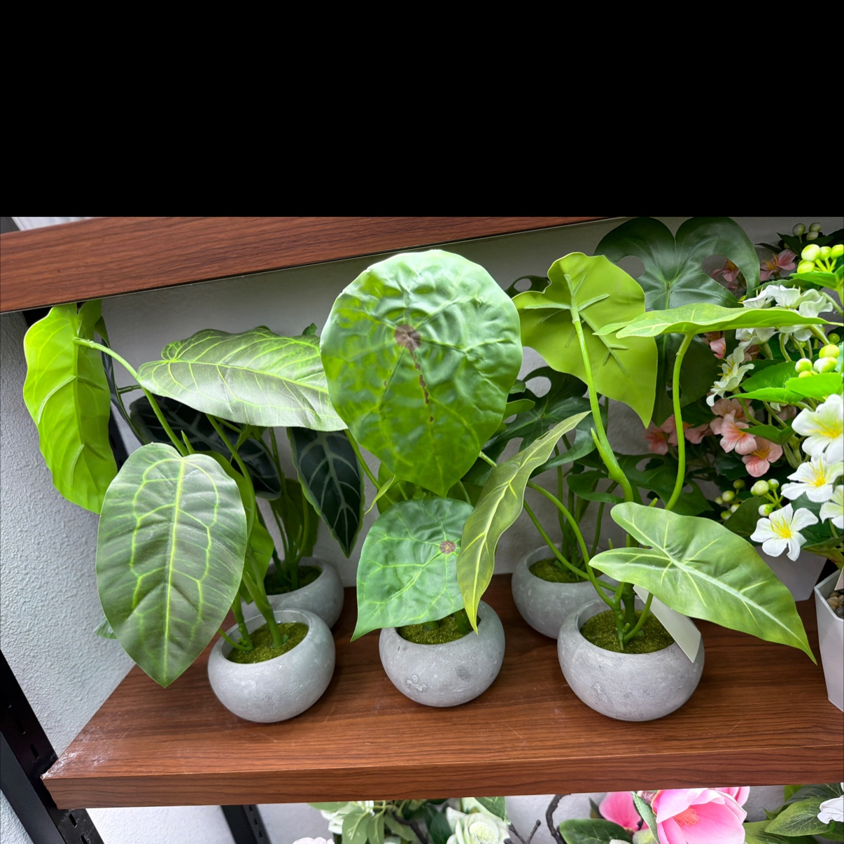 仿真树人造小盆栽竹子花卉盆景摆件室内装饰仿真植物绿植装饰品人造仿真树小盆栽仿真花