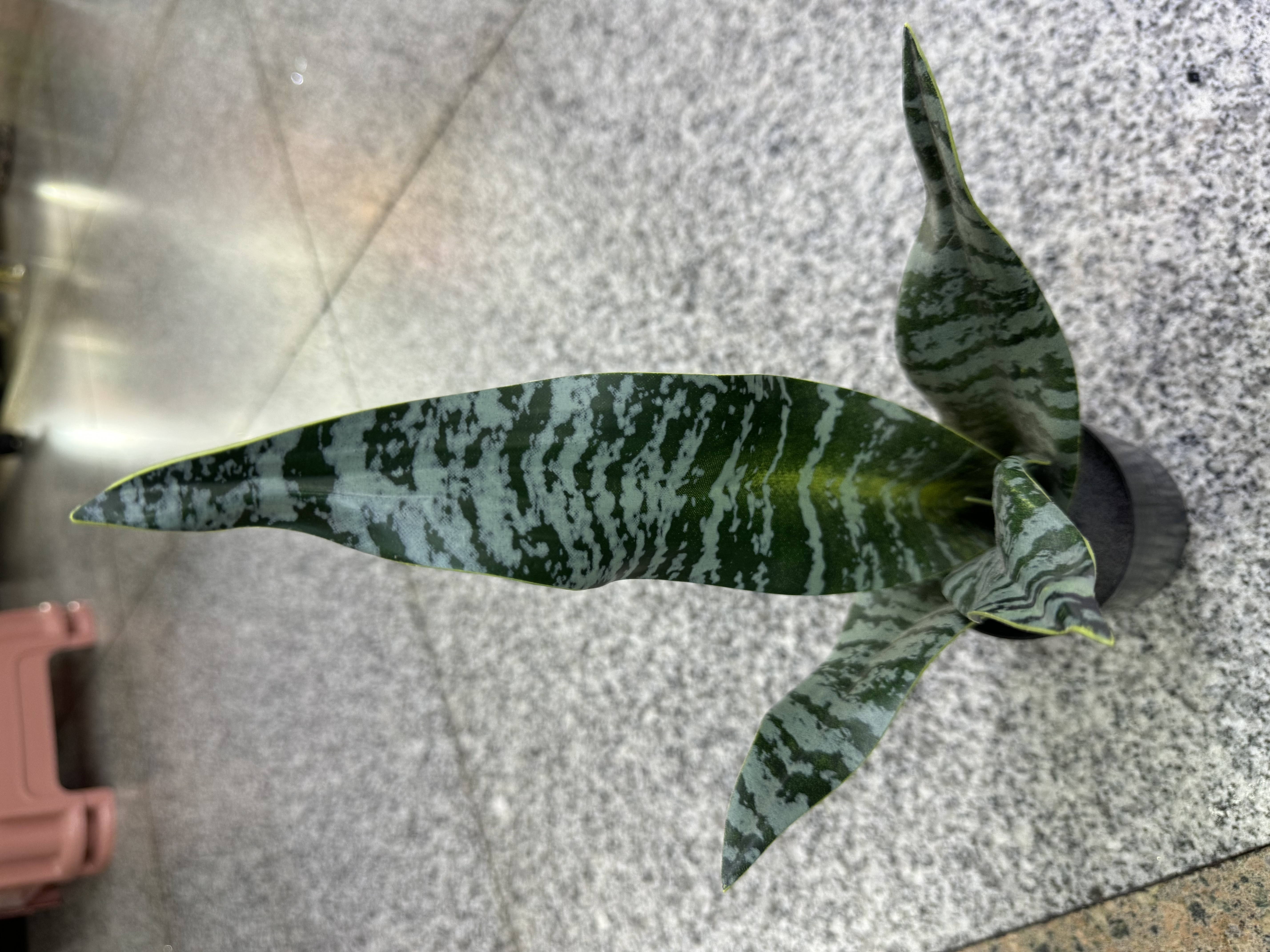 春天花园仿真花掃墓用塑膠花硅胶人造花装饰摆设河北制造细节图