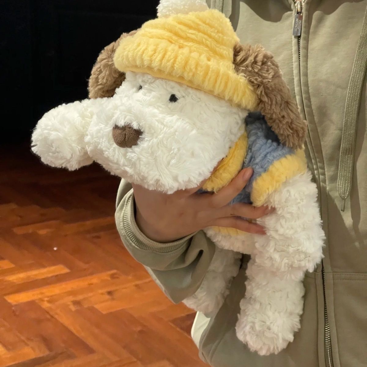 Cute and adorable plush toy with a dressing dog, super soft and cute doll, soothing doll, birthday gift for girls and children Application Scenario