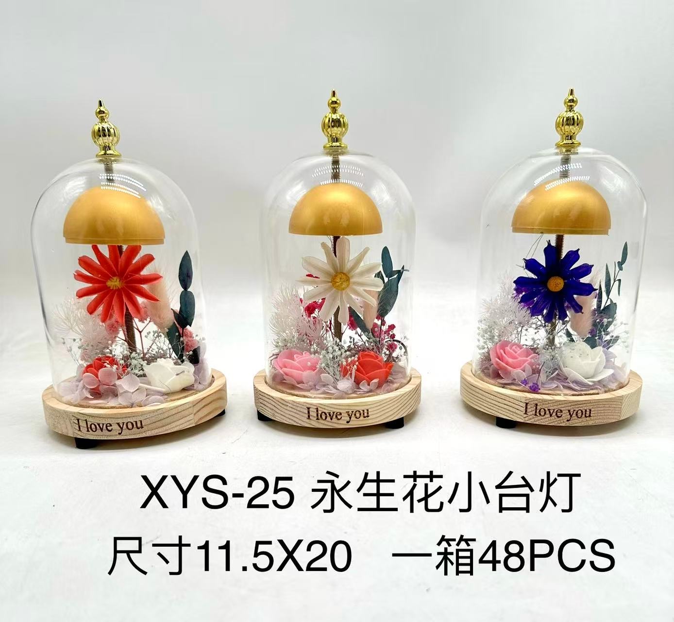 XYS-25永生小台灯